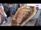 Une centaine de sarcophages intacts retrouvés à Saqqarah en Égypte