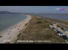 Zoom sur la presqu'île de Giens, un paradis préservé