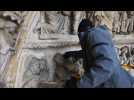 Amiens: le système anti-pigeon de la cathédrale