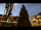 Mise en place du sapin de Noël sur la Grand-Place de Bruxelles