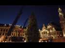 Le sapin de Noël de la Grand-Place de Bruxelles installé ce matin.