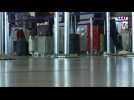 Aéroport, train... qui sont ces Français qui continuent de voyager ?
