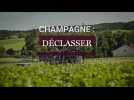 Le déclassement de vignes en Champagne : menace ou solution économique ?