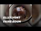 Après les bombes de bains, voici la bombe de chocolat