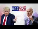 USA 2020 - Trump/Biden: le lièvre et la tortue