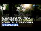 Ces sociétés qui entretiennent des sépultures