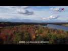 À la découverte des forêts du Québec, aux couleurs de l'été indien