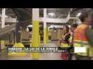 Amazon, la loi de la jungle ?