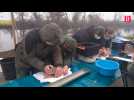 Tarn-et-Garonne : les pêcheurs marquent des brochets avant de les remettre à l'eau