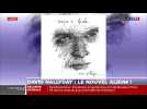 David Hallyday : le nouvel album