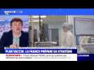 Plan vaccin: la France prépare sa stratégie - 29/11