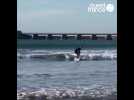 Retour des surfeurs sur la Grande plage des Sables