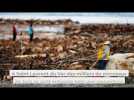 Tempête Alex : Les images incroyables de la mer de bois flottant à Saint-Laurent-du-Var