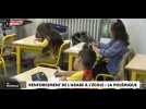 Enseigner l'arabe à l'école dès le primaire : la proposition du gouvernement qui divise (Vidéo)