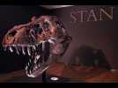 Le T-Rex Stan, vendu 31, 8 millions de dollars, pulvérise un record
