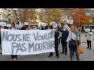 Manifestation à Troyes : «Nous ne voulons pas mourir»