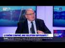 Le Rhône confiné, une solution suffisante ?