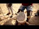 Sénégal : génération talent !