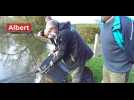 Albert : rempoissonnement des deux étangs du Vélodrome