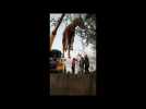 VIDEO. Un poulain fait une chute de plusieurs mètres dans un puits