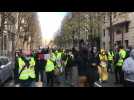 Lille : manifestation des Gilets jaunes
