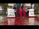 Lille: du faux sang déversé à la Citadelle pour dénoncer l'inaction climatique
