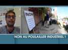 Steenwerck: un projet de poulailler industriel qui fait débat