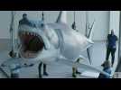 Le requin des 