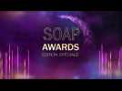 Soap Awards 2020 : Demain nous appartient, Ici tout commence, Un si grand soleil, Les Mystères de l'amour, Plus belle la vie