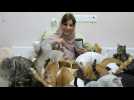 A Oman, la femme aux 500 chats