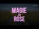 Magie en Rose : le teaser