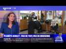 Pas de test, pas de brushing - 09/02