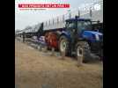 Action coup de poing des agriculteurs au Carrefour d'Angers sur fond de « guerre des prix »