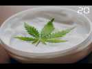 Ils prennent du CBD pour soulager leur anxiété