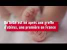 VIDEO. Un bébé est né après une greffe d'utérus, une première en France