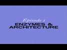 Les Petites histoires naturelles de l'Architecture: Pourquoi nos enzymes sont à l'origine de l'architecture?