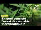 Cannabis thérapeutique : En quoi consiste l'expérimentation en France sur 3.000 patients?