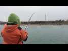 Frontignan : retour des pêcheurs de daurade le long du canal