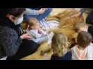 Les enfants jouent avec des chiens au centre social Est Somme de Ham