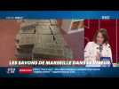 Dupin Quotidien : Les savons de Marseille dans le viseur - 18/03