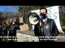 Soissons : 120 personnes manifestent pour défendre les tilleuls du boulevard Victor-Hugo
