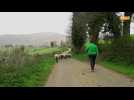 Trebatu, les futurs agriculteurs en test