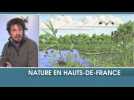 Nature en Hauts de France
