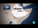 Éthiopie - Conflit au Tigré : l'Érythrée accusée de tuerie de masse selon Amnesty