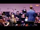 Marina, le violon au pluriel