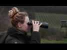 En Allemagne, des chasseurs en quête de viande 
