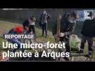 Une micro-forêt va pousser à Arques