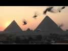 En Egypte, la passion intacte pour l'élevage de pigeons