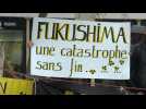 Dix ans après Fukushima, manifestation à Paris contre le nucléaire