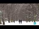 Vague de froid en Europe : de nombreux pays du nord du continent recouverts d'un manteau blanc